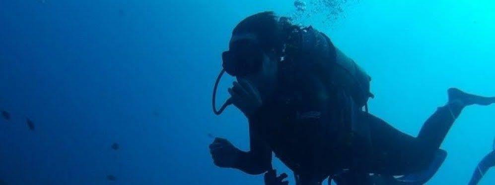Blue Ocean Dive Resort Umkomaas Dış mekan fotoğraf